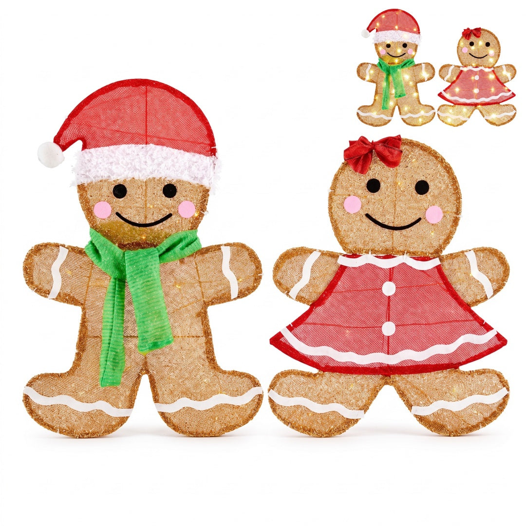 2-Piece LED Christmas Set, Holiday Decorative Lights