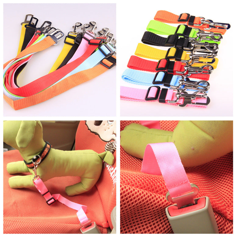 Polyester Dog Leash