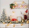 Snowflake 10-LED Spherical String Light, 2 Meter