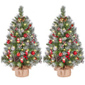 Set of 2 Frosted 3 ft Tabletop Christmas Trees with Warm White LEDs