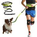 Hands-Free Dog Leash with Waist Belt