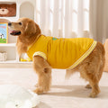 Winter Clothes for Large Dogs