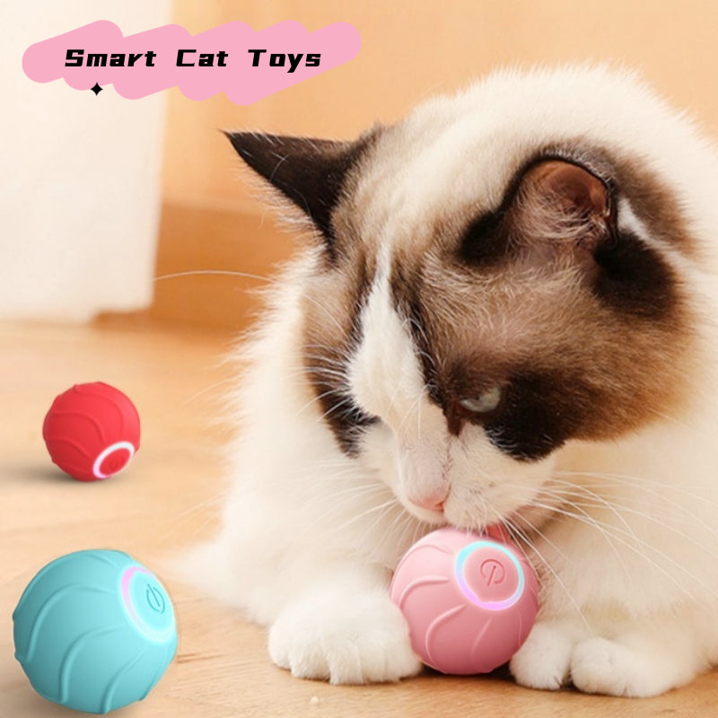 Smart Rolling Ball Cat Toy