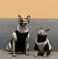 Warm Plush Hairless Cat Sweater