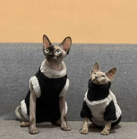 Warm Plush Hairless Cat Sweater