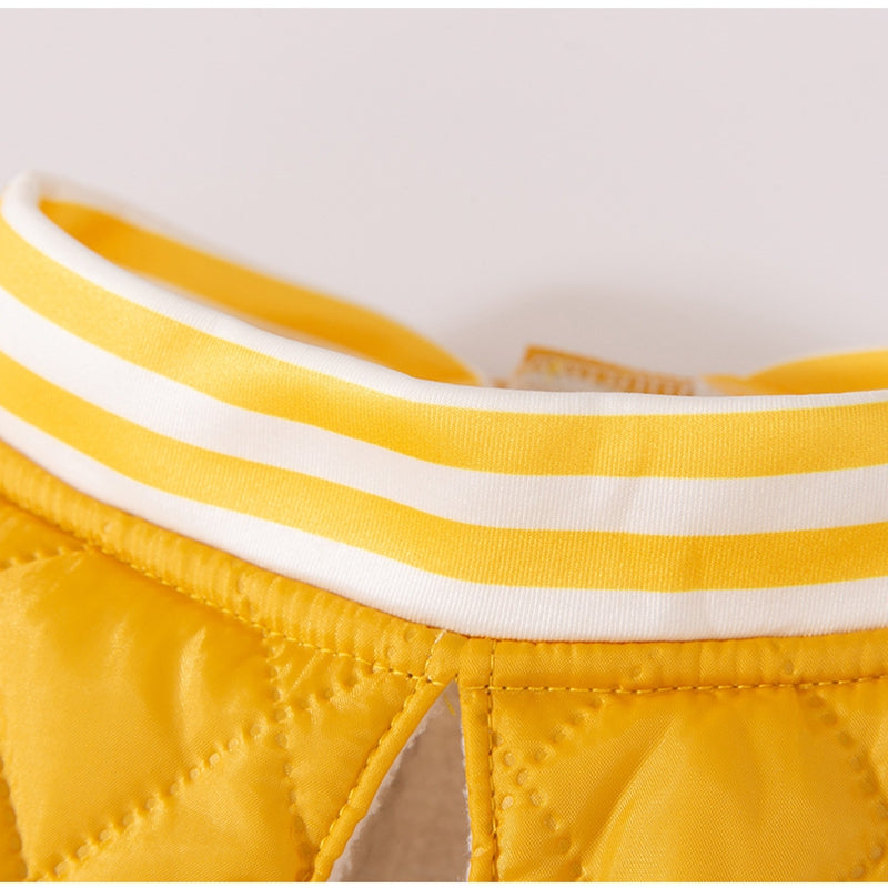 Winter Clothes for Large Dogs
