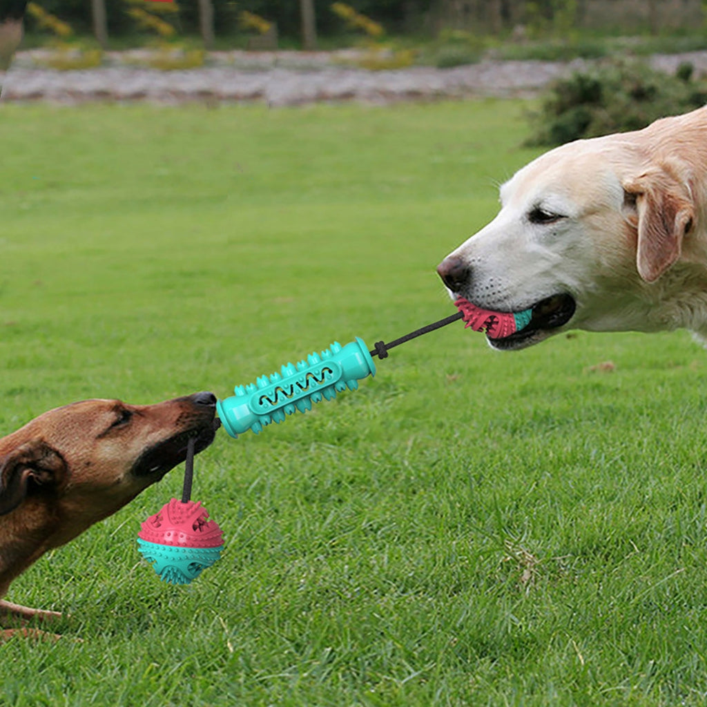 Dog Durable Chew Teeth Cleaning Toy Chew Stick