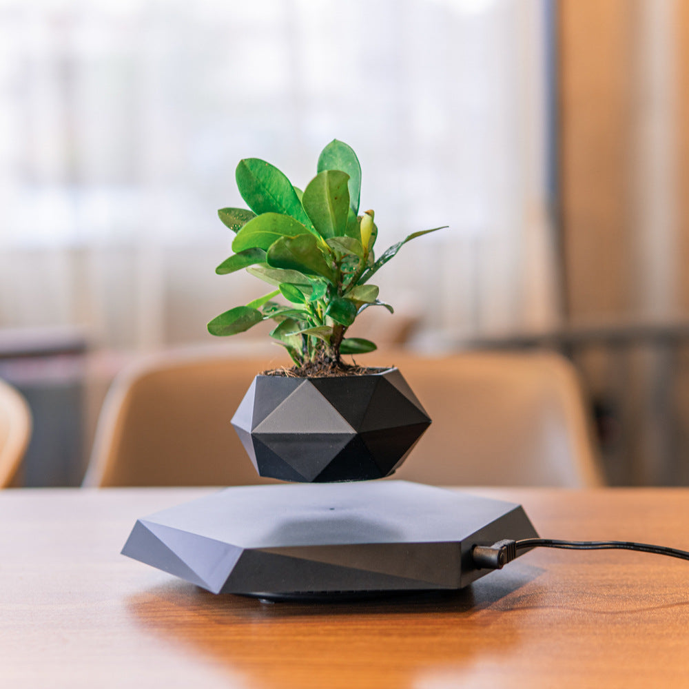Magnetic Levitating Floating Plant Pot