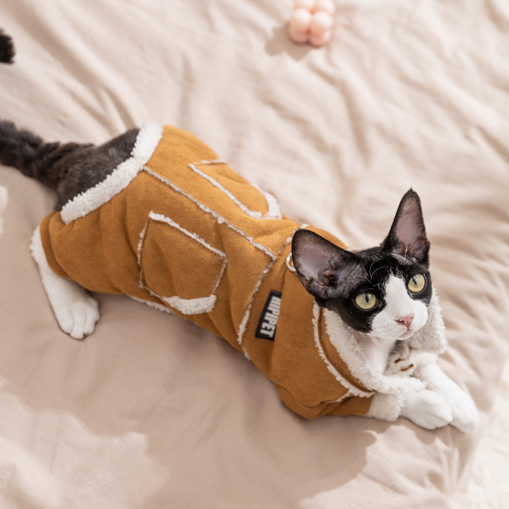 Padded Winter Coat for Cats and Small Puppies