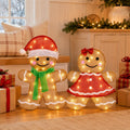 2-Piece LED Christmas Set, Holiday Decorative Lights