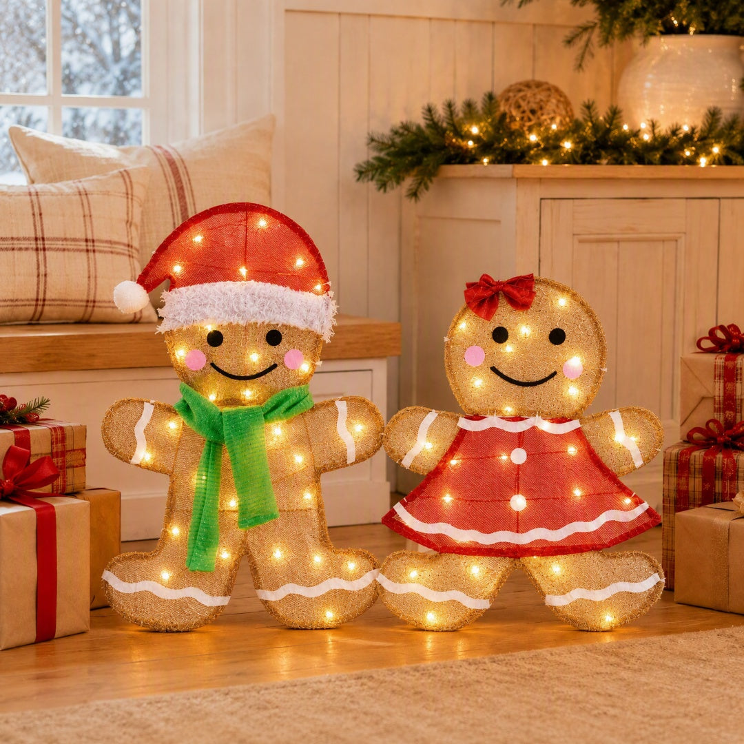 2-Piece LED Christmas Set, Holiday Decorative Lights