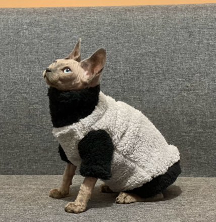 Warm Plush Hairless Cat Sweater