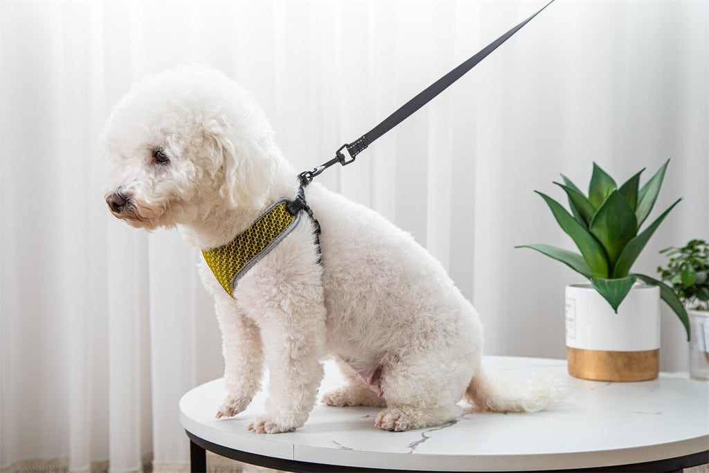 Pet Dog Walking Leash Vest-style Harness