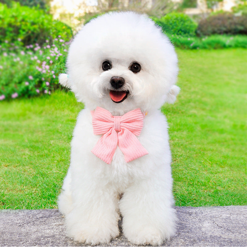 Dog Leash And Harness For Outdoor Use