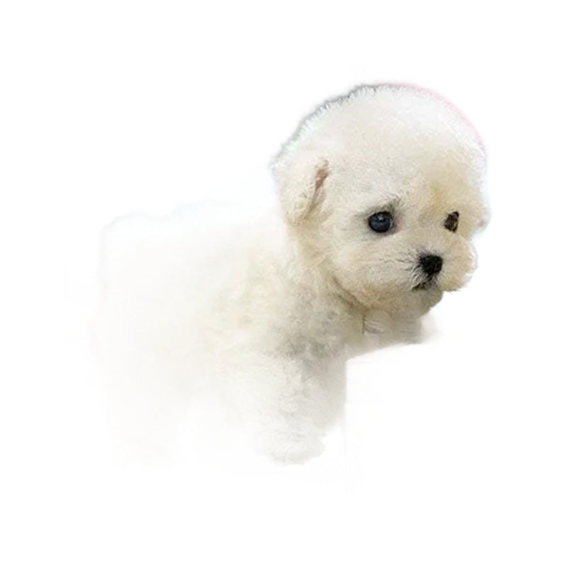 Robot Puppy Short Plush Doll