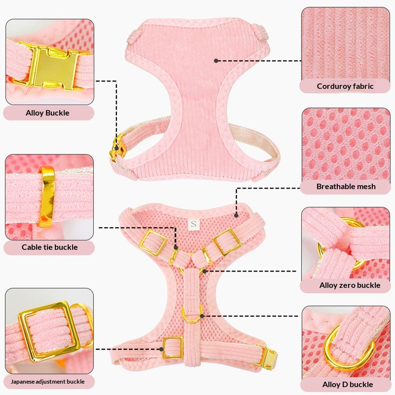 Dog Leash And Harness For Outdoor Use