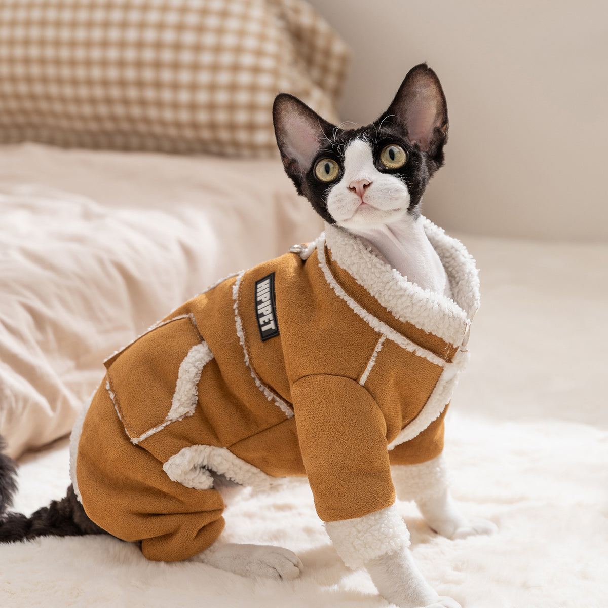 Padded Winter Coat for Cats and Small Puppies